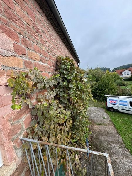 5-bedroom House in Kaiserslautern - Ansicht 2