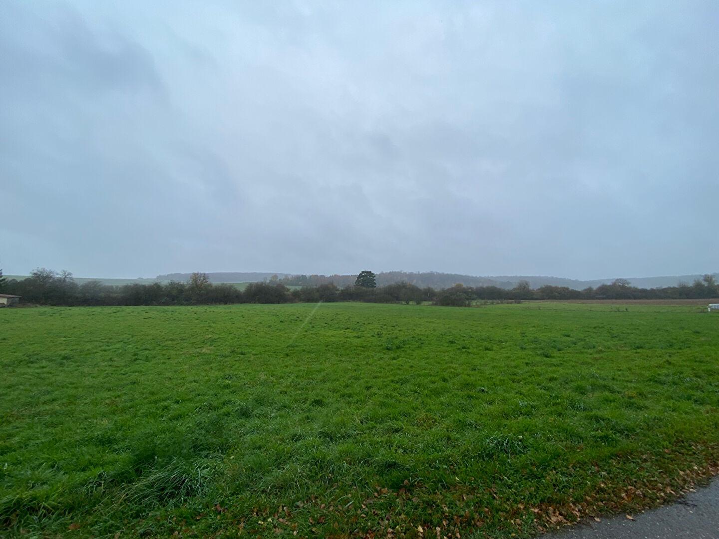 Land in Vadonville - Vue 2