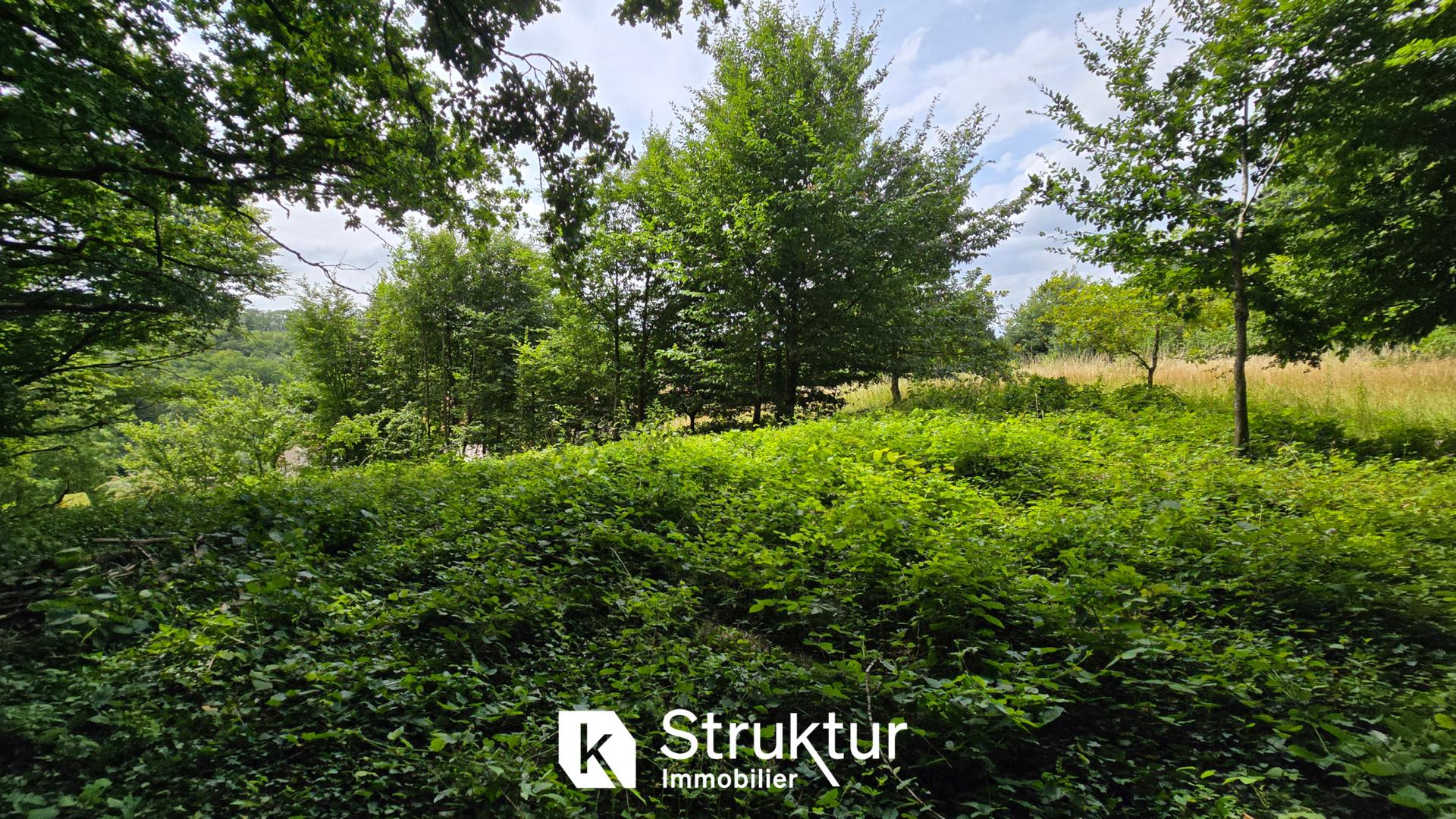 Land in Saint-Hubert - Vue 4