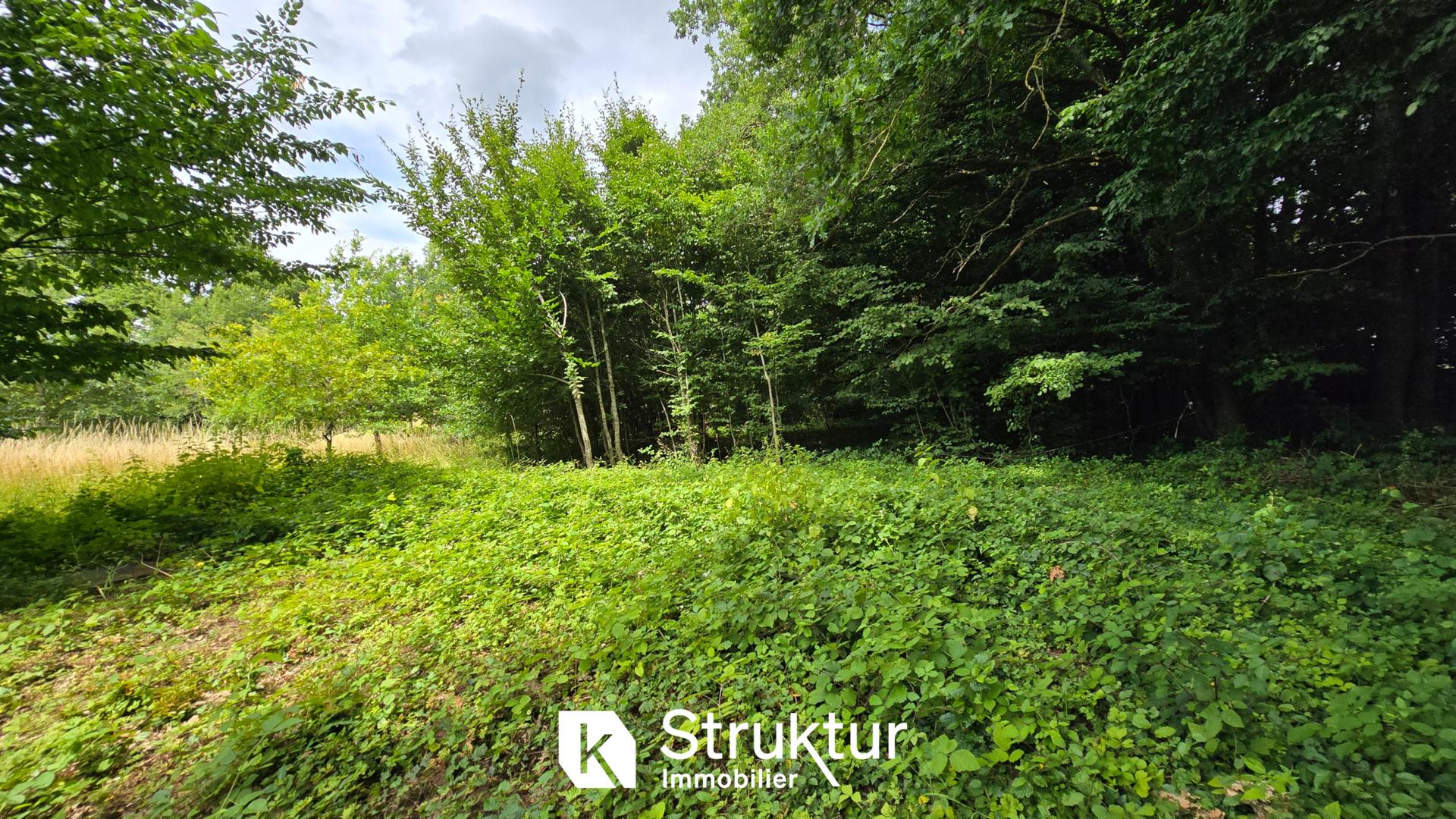 Land in Saint-Hubert - Vue 3