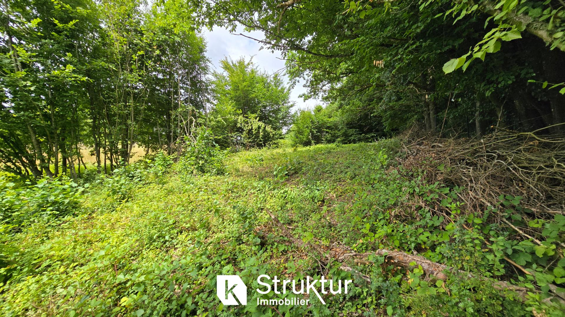 Land in Saint-Hubert - Vue 2