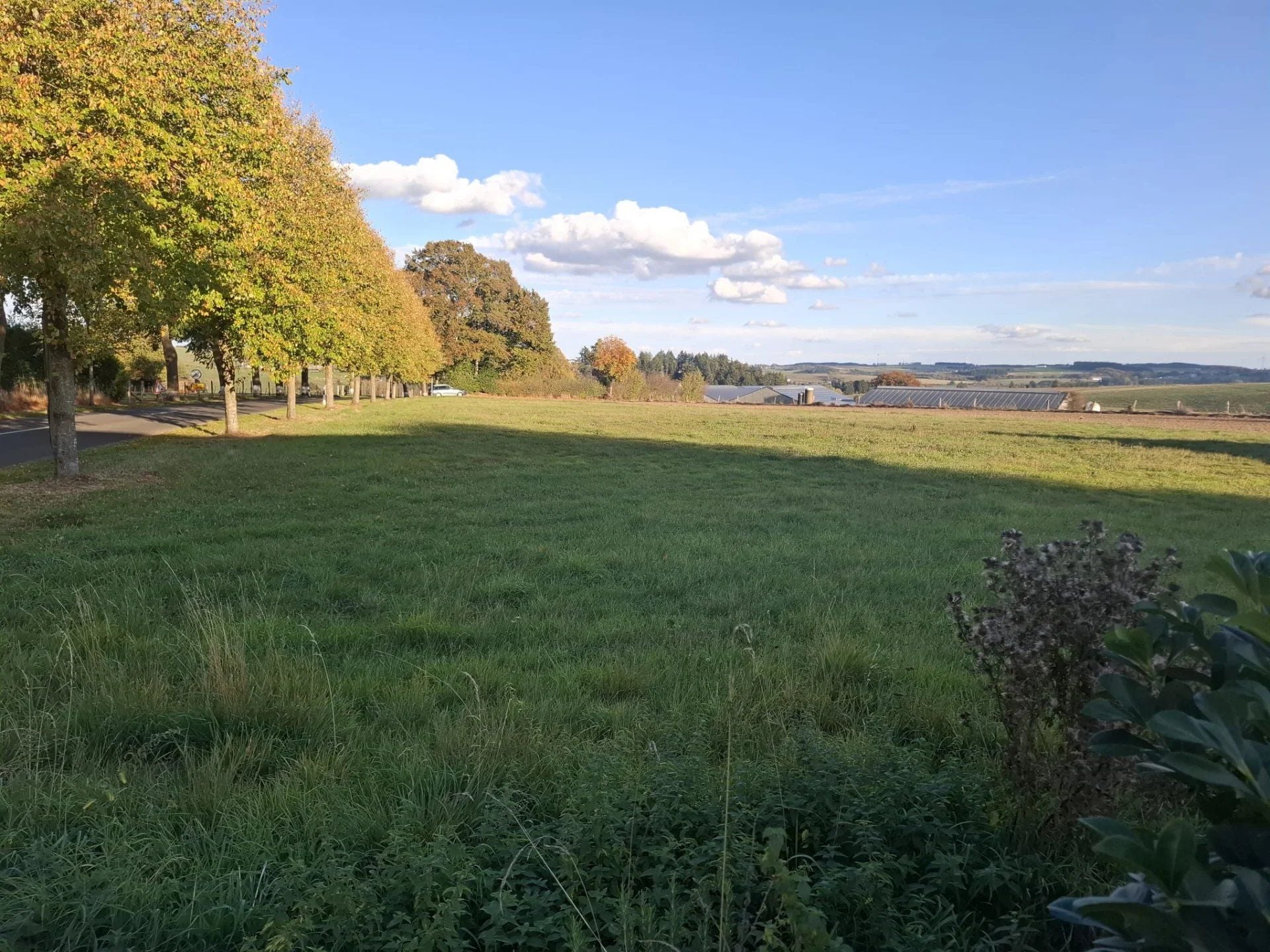 Charming 61 m² Plot of Land in Hachiville, Luxembourg — 2