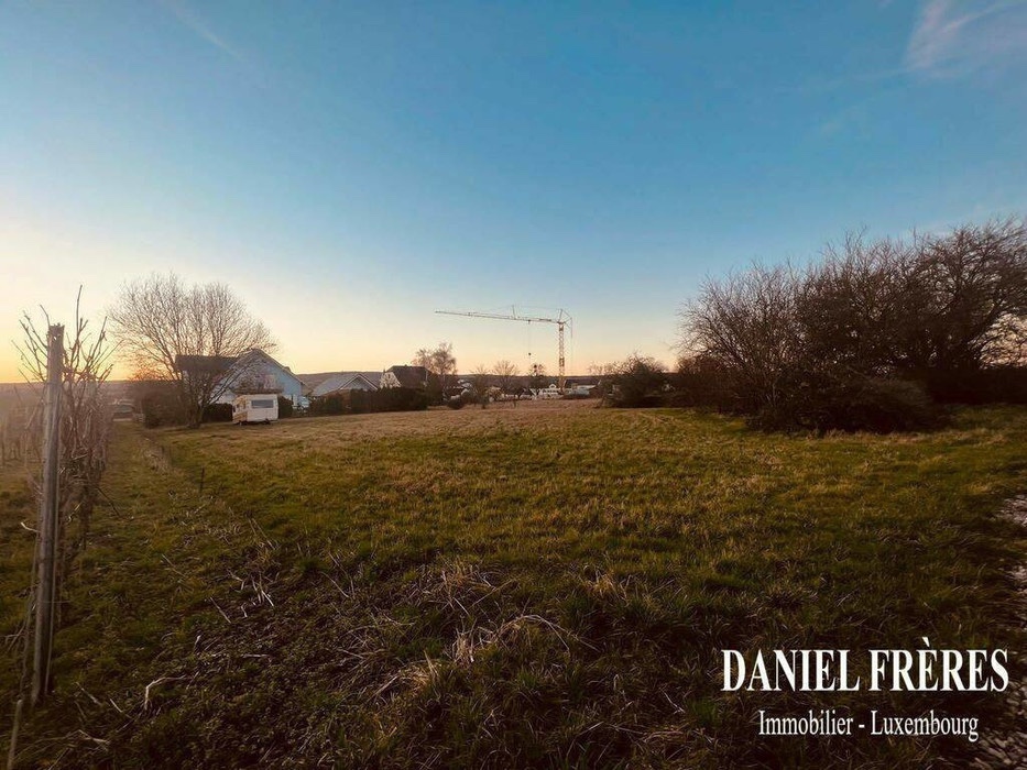 Land in Palzem, Palzem