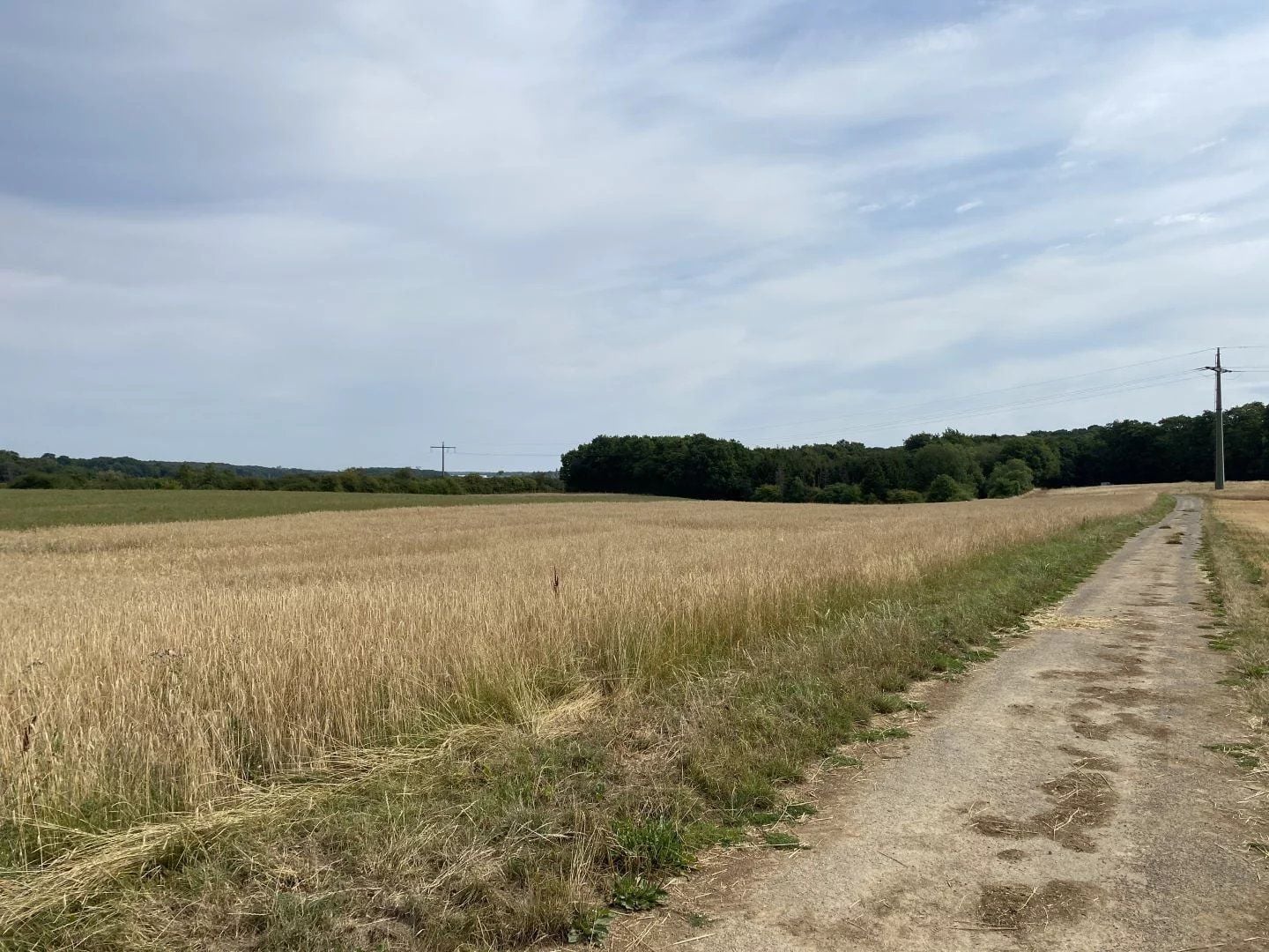 Plot of land in Berchem