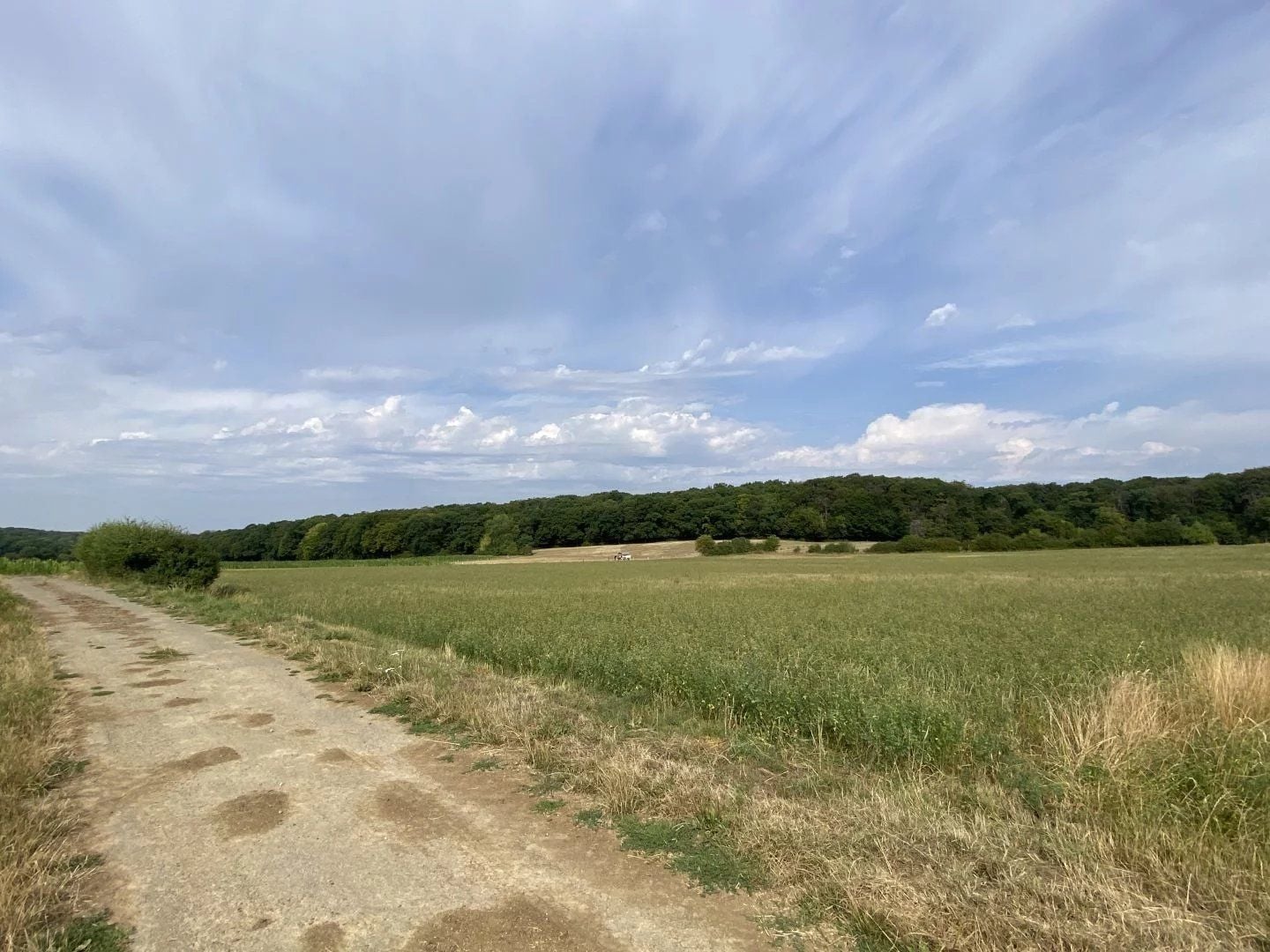 Plot of land in Berchem