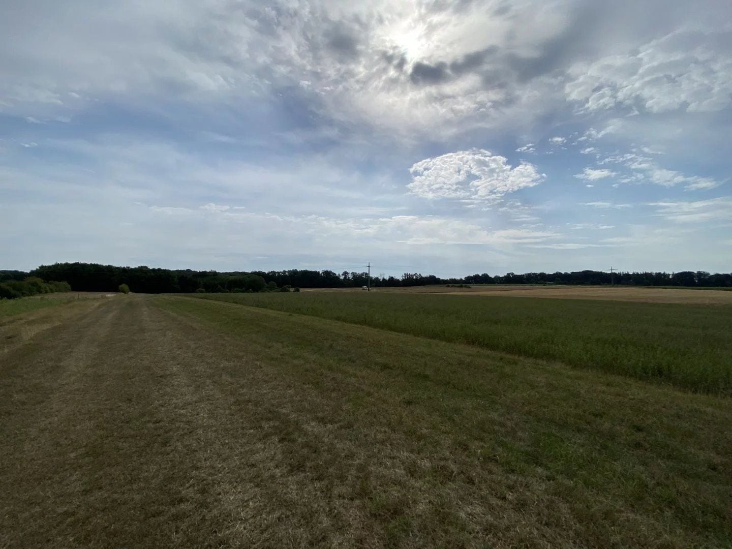 Plot of land in Berchem