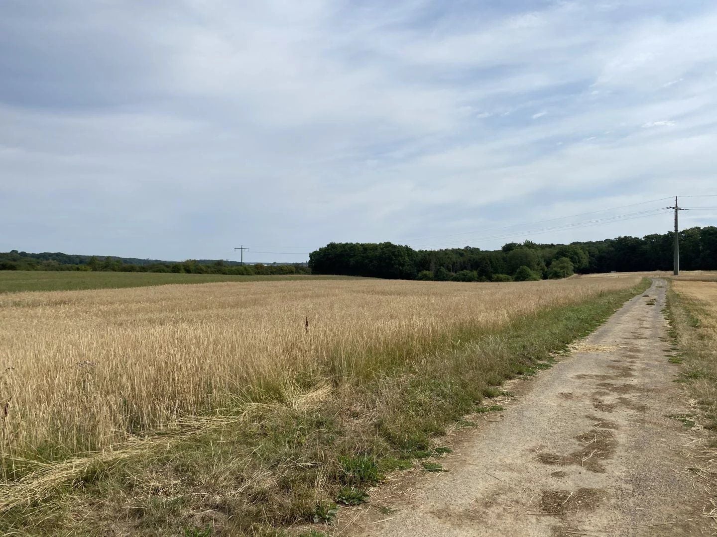 Plot of land in Berchem