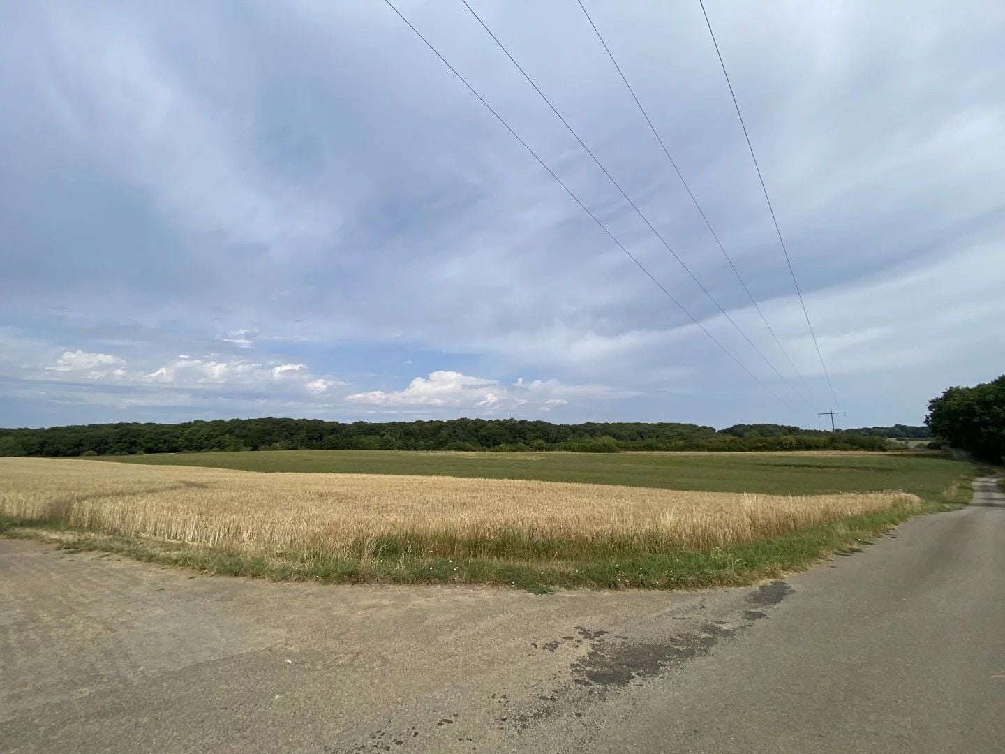 Plot of land in Berchem