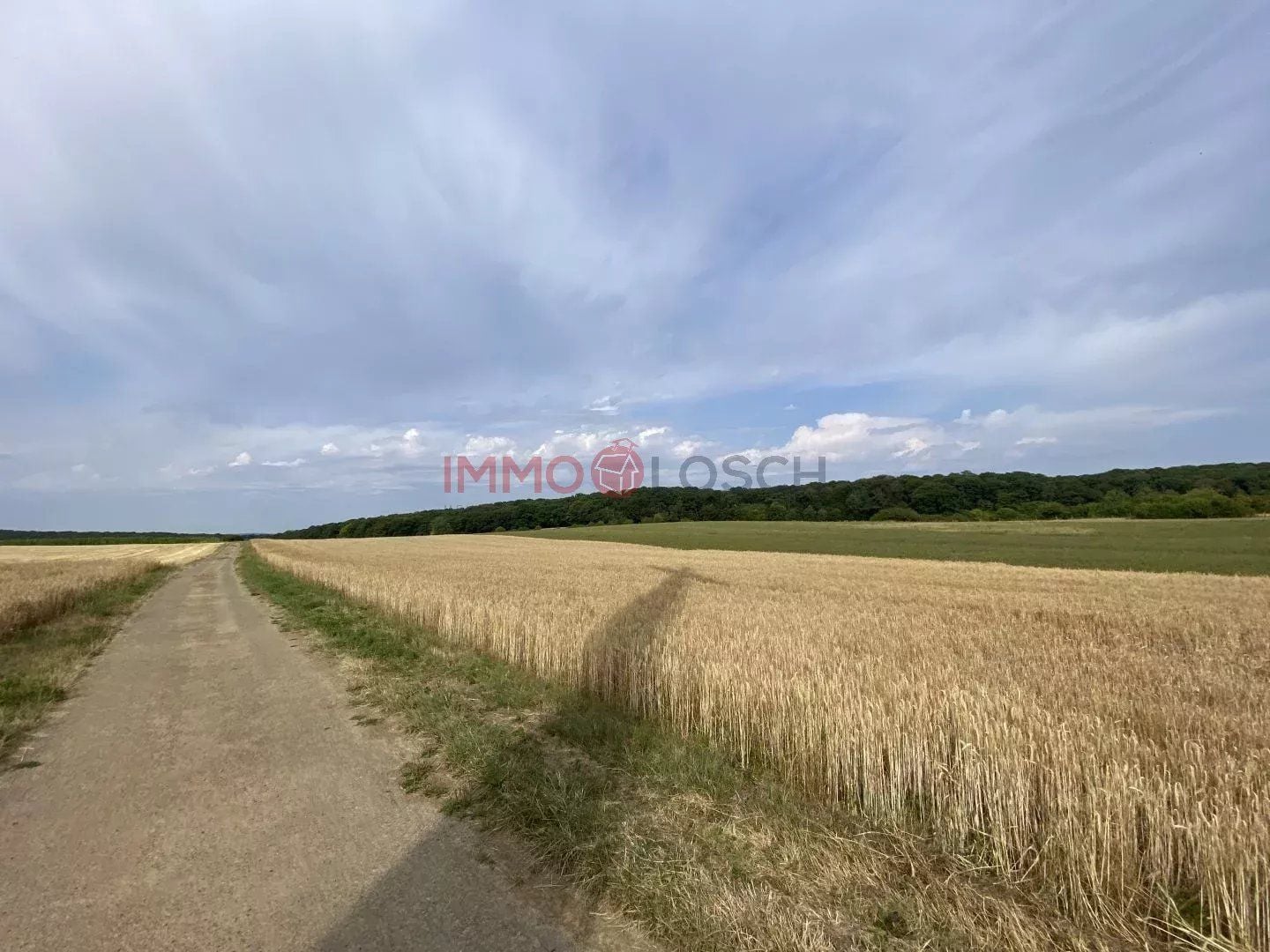 Plot of land in Berchem