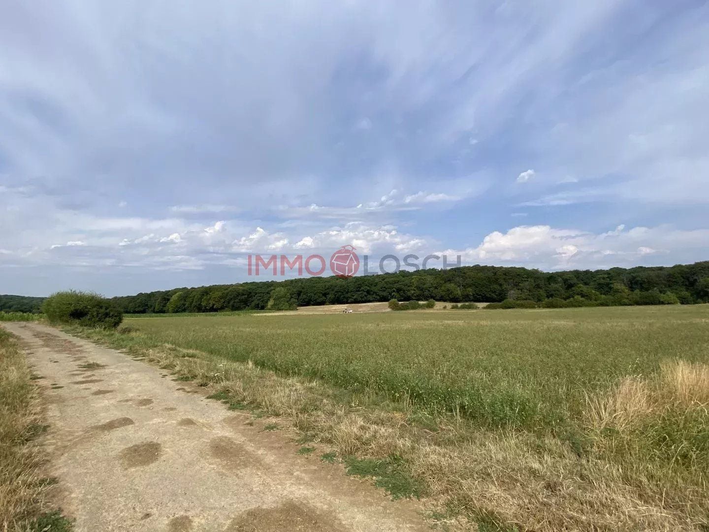 Plot of land in Berchem