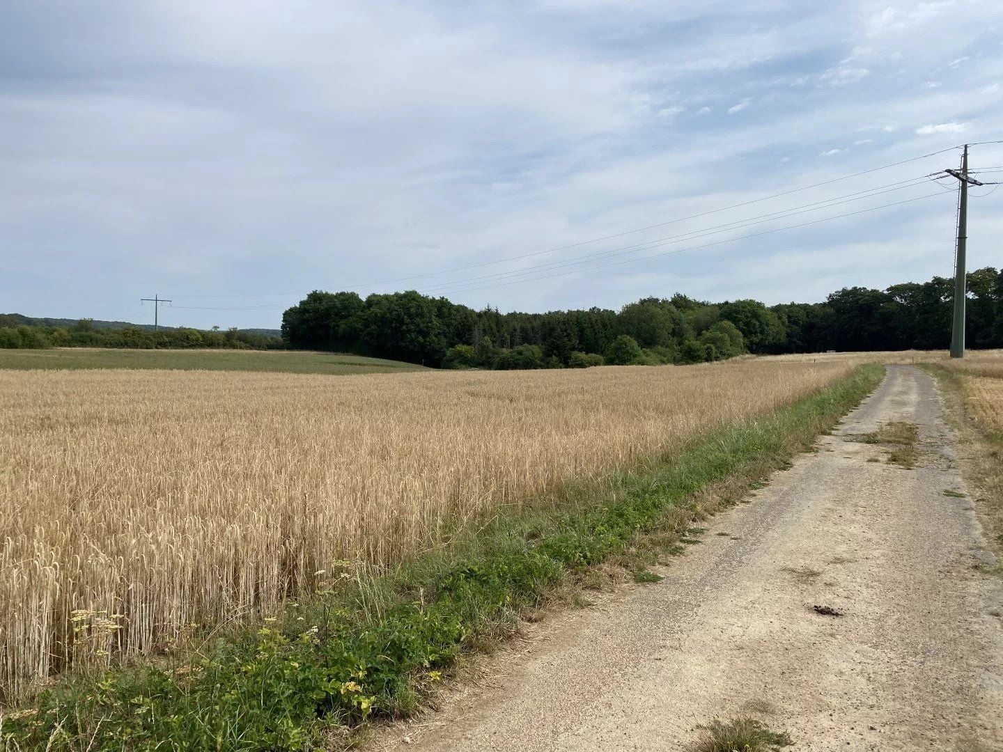 Plot of land in Berchem