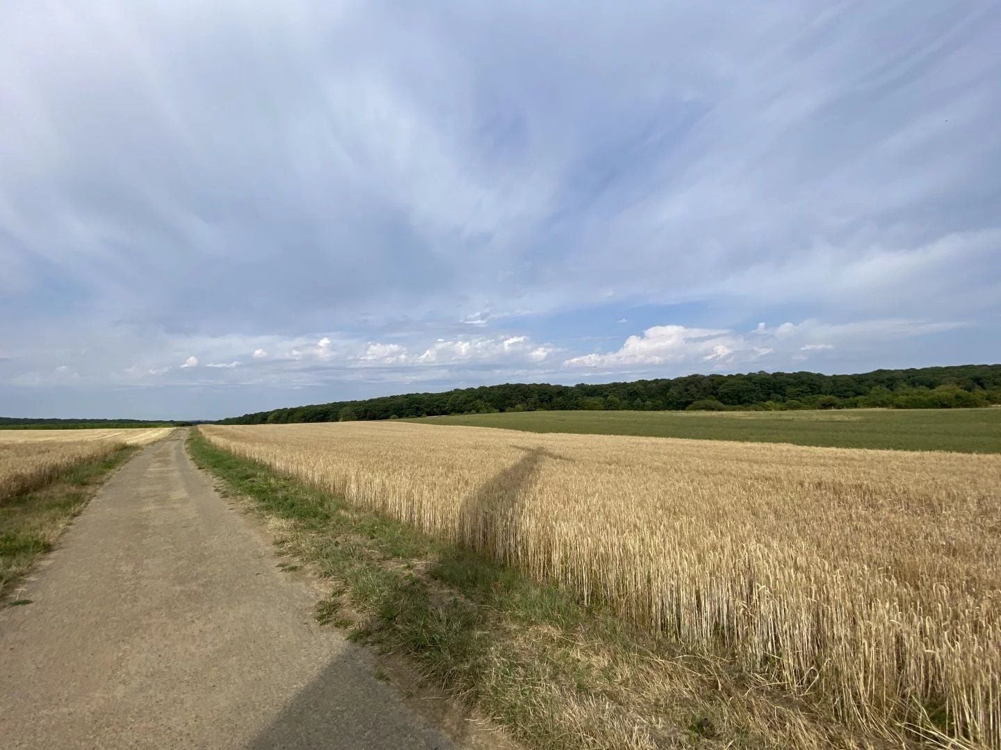 Plot of land in Berchem