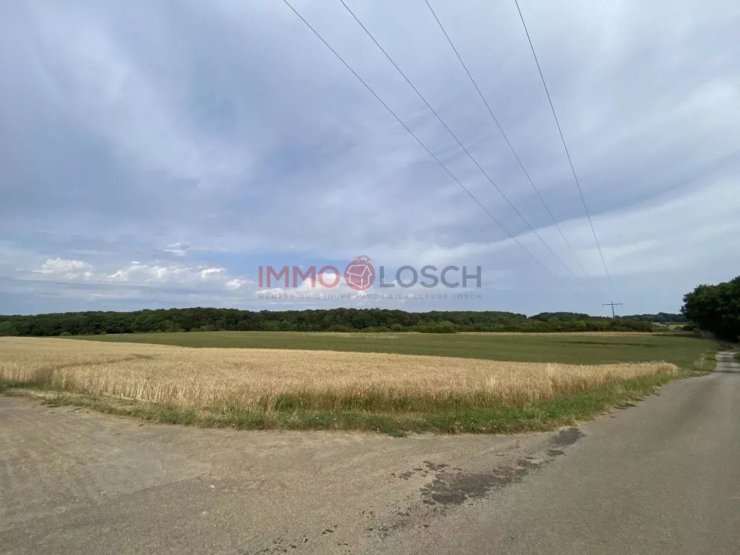 Plot of land in Berchem