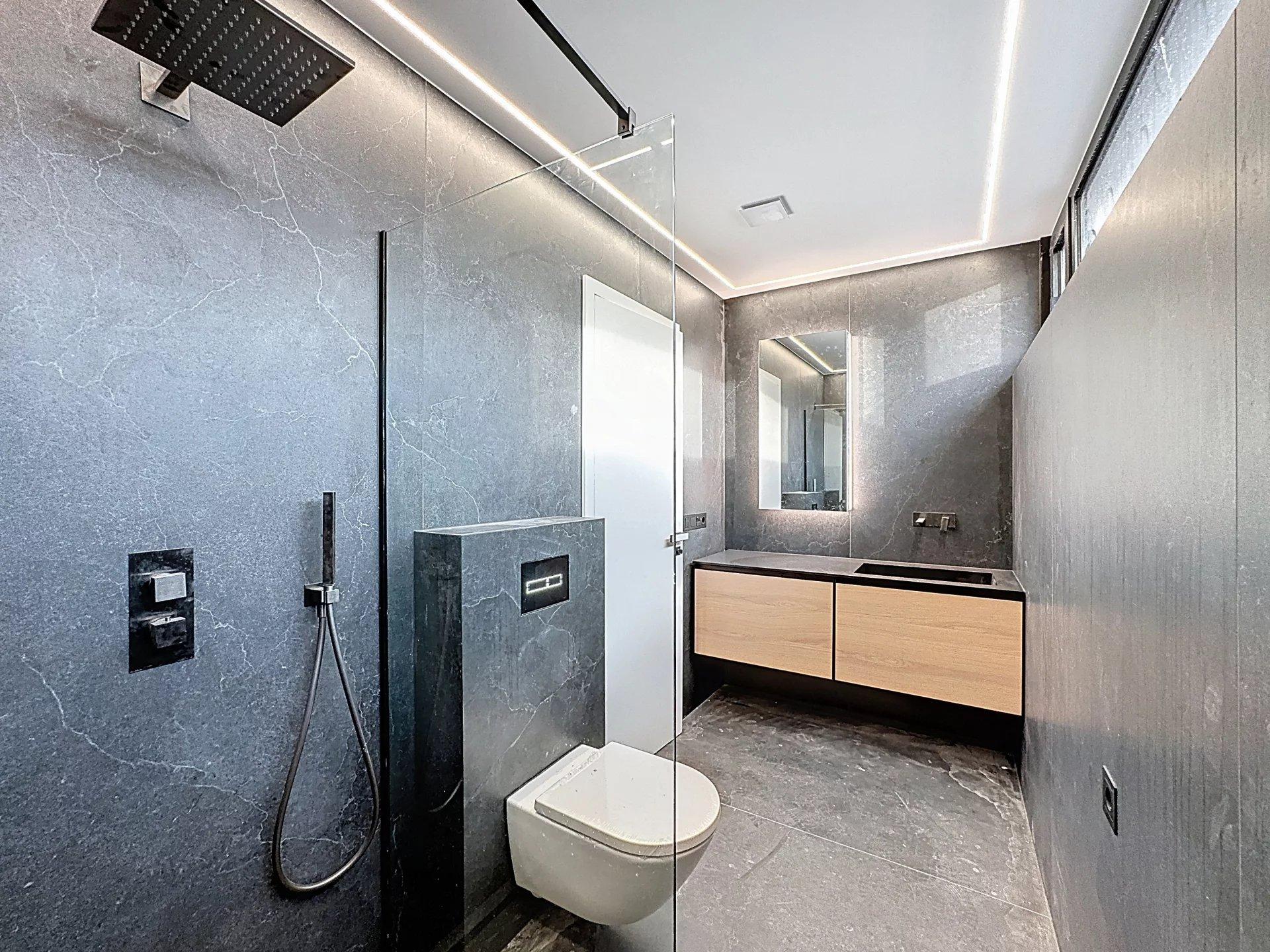 Penthouse - Top floor - Private elevator access - Plus