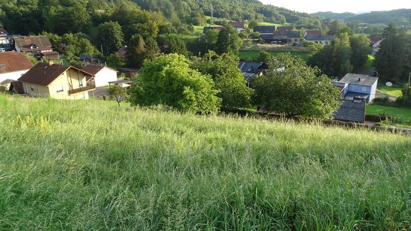 Land in Wadern - Ansicht 3