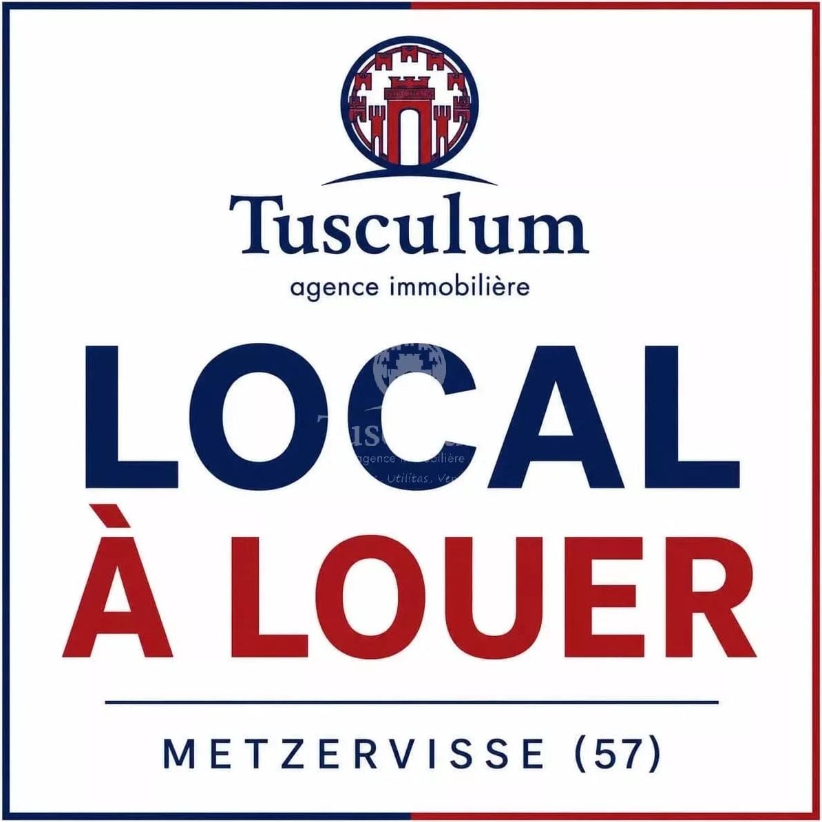 À LOUER – DÉPÔT / ATELIER DE 700 m² – METZERVISSE - Vue 5