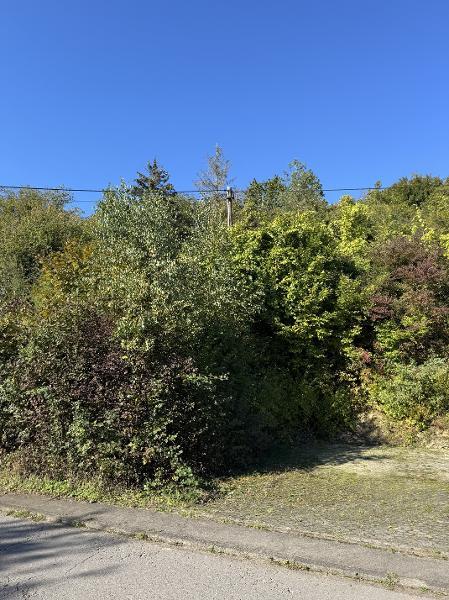 Land in Onsdorf - Ansicht 5