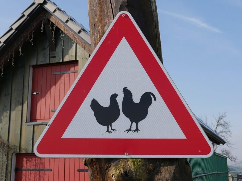 10-bedroom Commercial property in Fischbach