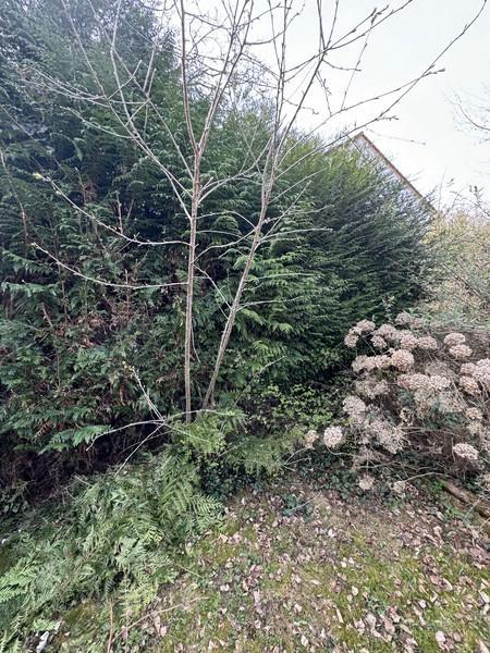 Land in Kaiserslautern - Ansicht 4