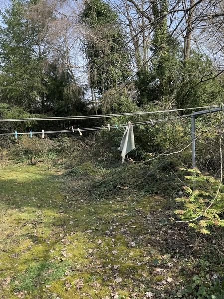 Land in Kaiserslautern - Mehr