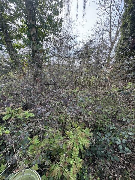 Land in Kaiserslautern - Ansicht 3