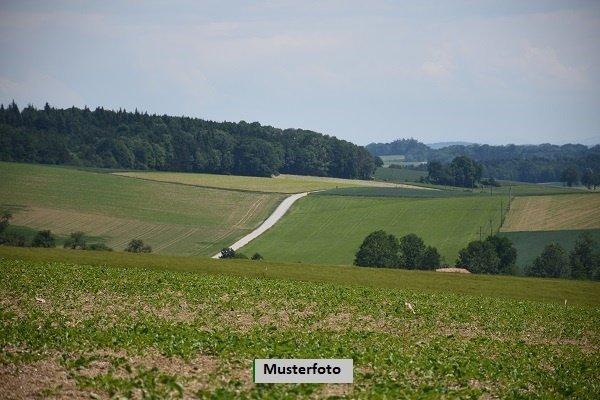Land in Böhl-Iggelheim
