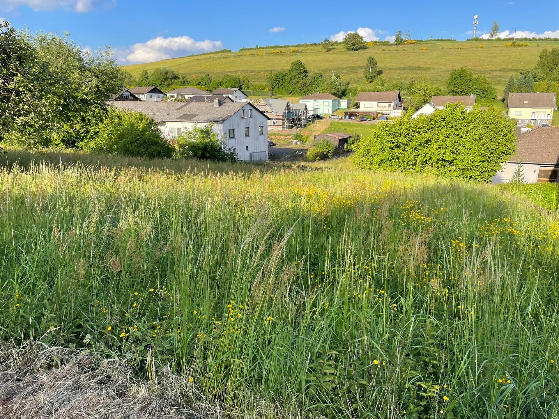 Land in Burbach - Ansicht 2
