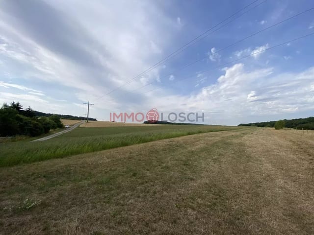Non-constructible land in Syren - photo 7