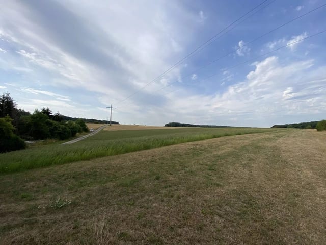 Non-constructible land in Syren - photo 16