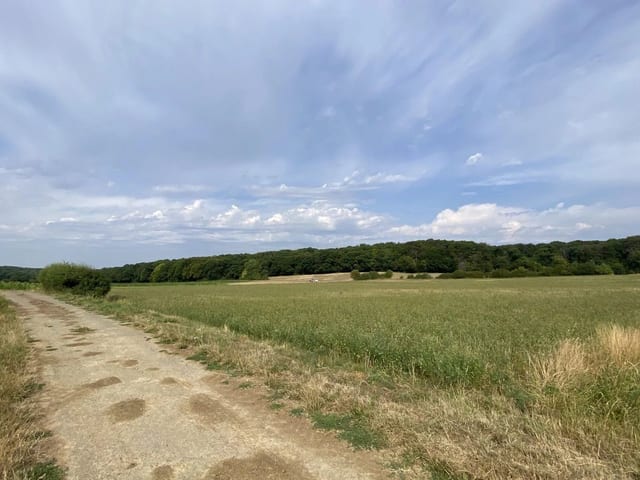 Non-constructible land in Syren - photo 13