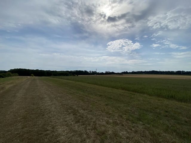 Non-constructible land in Syren - photo 14