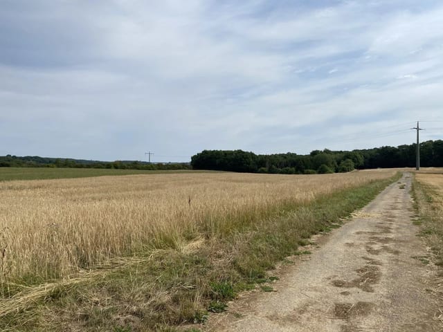 Non-constructible land in Syren - photo 11