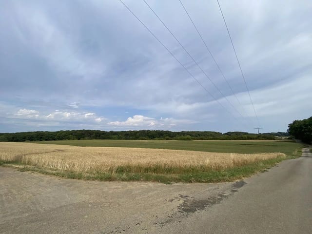 Non-constructible land in Syren - photo 8