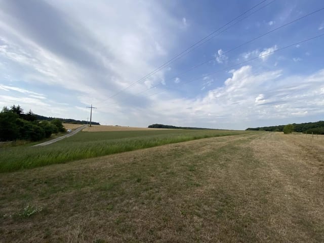 Non-constructible land in Syren - photo 17