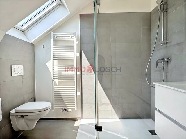 Apartment in Esch-sur-Alzette - photo 7