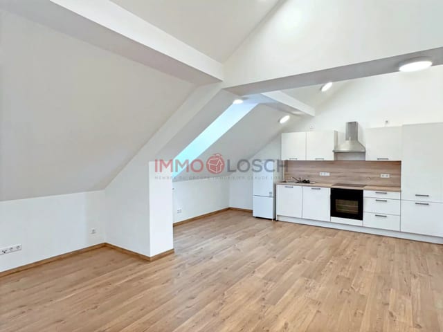 Apartment in Esch-sur-Alzette - photo 4