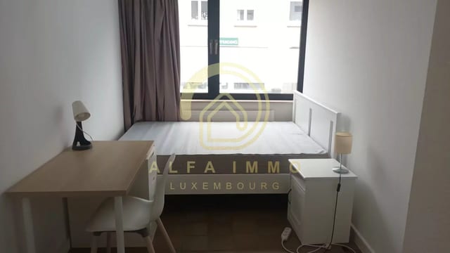 Local à vendre à Luxembourg-Merl